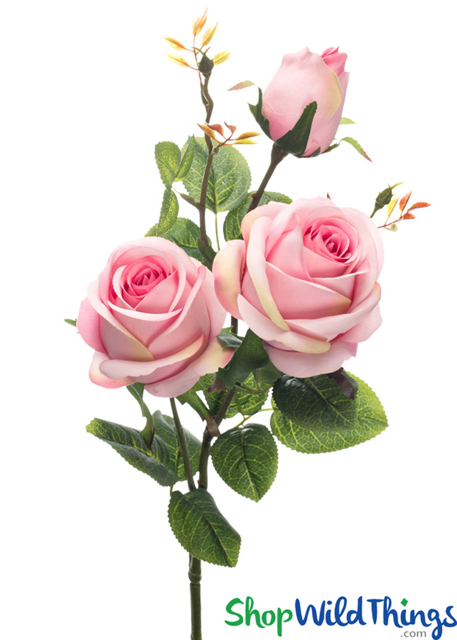 discount silk roses