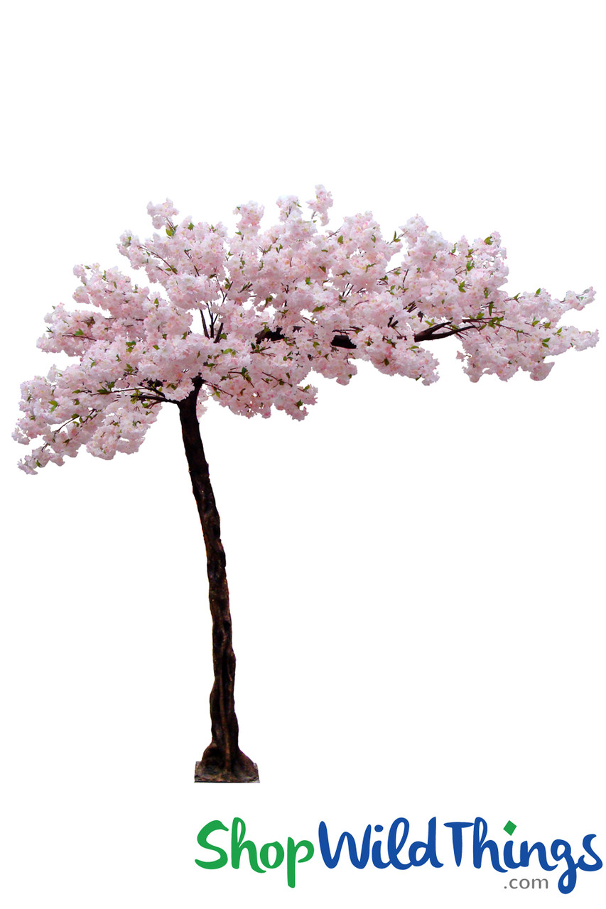 Flowering Cherry Blossom - Multi Pink - 10.5 Feet Tall x 8 Feet Wide