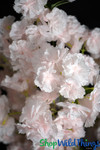 Artificial Dogwood Tree, Fluffy Light Pink Flowers on Bendable Branches, 5Ft Tree with Stand by ShopWildThings.com Artificial Dogwood Tree, Fluffy Light Pink Flowers on Bendable Branches, 5Ft Tree with Stand by ShopWildThings.com