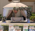 Our Large Rose Bush Bouquets Add Fullness and Color To Event Backdrops | ShopWldThings.com Our Large Rose Bush Bouquets Add Fullness and Color To Event Backdrops | ShopWldThings.com