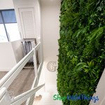 Architectural Design Greenery Foliage Living Plant Walls ShopWildThings.com