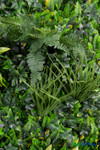 Artificial Greenery Wall by ShopWildThings.com Mixed High Quality Foliage Fake Living Wall