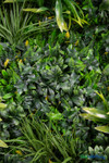 Artificial Greenery Wall by ShopWildThings.com Mixed High Quality Foliage Fake Living Wall