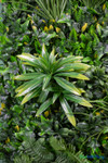 Artificial Greenery Wall by ShopWildThings.com Mixed High Quality Foliage Fake Living Wall