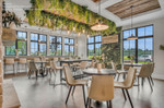 SuperLush Greenery Wall in a Restaurant by ShopWildThings.com