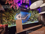 Restaurant Installation of Professional Greenery Wall Backdrop ShopWildthings.com