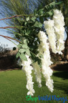 Wisteria Branches Interchangeable for Floral Trees ShopWildThings.com Wisteria Branches Interchangeable for Floral Trees ShopWildThings.com