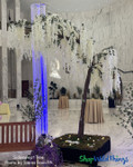 White Wisteria Sideswept Tree for Elegant Event Decor
Looking for a dramatic yet elegant floral statement? This white wisteria Sideswept Tree from ShopWildThings delivers impact and flexibility. Swap out the branches with our Interchangeable Replacement Branch system for endless design options. Combine 2 and make an arch! White Wisteria Sideswept Tree for Elegant Event Decor
Looking for a dramatic yet elegant floral statement? This white wisteria Sideswept Tree from ShopWildThings delivers impact and flexibility. Swap out the branches with our Interchangeable Replacement Branch system for endless design options. Combine 2 and make an arch!