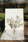 Cream Color Silk Dogwood Flower Tree Branches Replacement Interchangeable ShopWildThings.com Cream Color Silk Dogwood Flower Tree Branches Replacement Interchangeable ShopWildThings.com