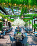 This restaurant created an unforgettable atmosphere with Artificial Flowering Dogwood Trees from ShopWildThings. The dramatic white blooms add instant elegance and impact, transforming the space into a stunning dining experience. These same blooms are available as Interchangeable Replacement Branches, making it easy to refresh and customize floral displays for any season or event.
Shop the look at ShopWildThings and bring this level of beauty to your own space. This restaurant created an unforgettable atmosphere with Artificial Flowering Dogwood Trees from ShopWildThings. The dramatic white blooms add instant elegance and impact, transforming the space into a stunning dining experience. These same blooms are available as Interchangeable Replacement Branches, making it easy to refresh and customize floral displays for any season or event.
Shop the look at ShopWildThings and bring this level of beauty to your own space.