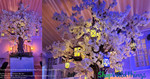 Interchangeable Branches ShopWildThings Make Your own tree Interchangeable Branches ShopWildThings Make Your own tree
