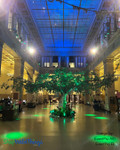 Transform any space into a verdant oasis with Artificial Greenery Branches by ShopWildThings. Just look at this breathtaking tree installation—it's like stepping into a dream! Let our team help you find the right Artificial Greenery Branches and Sprays for your next design!

Extra Large Faux Tree Design for Event Decor
