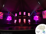 “Kenzie” 3 Trunk, White Base, 8’ Tall Artificial Flowering Tree by ShopWildThings makes for great stage decor with its unique shape and lush branches. Compatible with our collection of replacement branches, this effective tree can easily be transformed into a whole new look just by swapping out the branches.
Available in 4 different colors at ShopWildThings.com
Church Stage Decor – Large Faux Trees “Kenzie” 3 Trunk, White Base, 8’ Tall Artificial Flowering Tree by ShopWildThings makes for great stage decor with its unique shape and lush branches. Compatible with our collection of replacement branches, this effective tree can easily be transformed into a whole new look just by swapping out the branches.
Available in 4 different colors at ShopWildThings.com
Church Stage Decor – Large Faux Trees