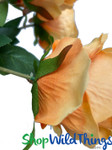 Orange Tone Roses ShopWildThings.com looks like the color of sherbet