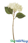 Silk Cream Hydrangea ShopWildThings.com