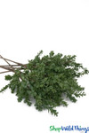 Nearly Natural Boxwood Branch Artificial Greenery Branches Extra Tall for Centerpieces