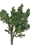 ShopWildThings Artificial Boxwood Spray Pick Extra Long 28"