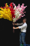 Giant Flowers for extra tall floral centerpieces Fluffy Dogwood Branches Giant Flowers for extra tall floral centerpieces Fluffy Dogwood Branches