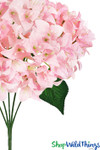 Flowering Light Pink Bougainvillea Blossom Bush, 18" Tall Spray