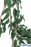 Dark Green Artificial Greenery Vine ShopWildThings Hanging Leaves