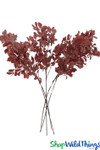 Deep Red Eucalyptus Spray Floral Picks ShopWildThings.com Deep Red Eucalyptus Spray Floral Picks ShopWildThings.com