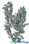 Denim Blue Eucalyptus Floral Pick ShopWildThings.com