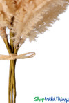 Pampas Grass Bouquet ShopWildThings