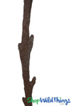 Interchangeable Branches Replacement Attachment Points Interchangeable Branches Replacement Attachment Points