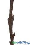 Interchangeable Branches Replacement Attachment Points