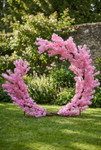Arch, Pink Flowering Dogwood Semi-Circle "The Swoop" 8' 6" H x 10' W  at ShopWildThings