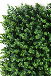 Commercial Installation Greenery Wall Plush Thicker Boxwood ShopWildThings.com Commercial Installation Greenery Wall Plush Thicker Boxwood ShopWildThings.com