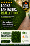 ShopWildThings Boxwood Greenery Wall Fire Rated