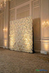 Impressive Off-White Rose & Peony Super Premium Fabric Backed 8x8 Flower Wall ShopWildThings