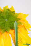 Oversized sunflower removable stem screw attachment detail for 44" silk sunflower, artificial flower for weddings and events – ShopWildThings.