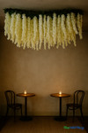 Long White Floral Garlands of Mixed Flowers on Fabric Backdrop Use as Ceiling Decoration or Wall Backdrop Long White Floral Garlands of Mixed Flowers on Fabric Backdrop Use as Ceiling Decoration or Wall Backdrop