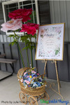 Baby Shower Party Decor - Giant Flower Peony Blooms by ShopWildThings.com - Fuchsia Pink and Blush Pink Jumbo Flower Decor