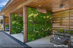 Luxe Tropical Poolside Cabana with Greenery Wall Panels from ShopWildThings
Elevate any outdoor space with this luxurious poolside cabana design featuring a mix of 40" x 40" Indoor/Outdoor UV Greenery Wall Panels from ShopWildThings. Styles shown include Garden Daydream, Dream Meadow, Fantasy Courtyard, and Super Lush. These artificial greenery panels create beautiful privacy screens while adding a lush, tropical atmosphere—perfect for backyard cabanas, patios, and poolside retreats. Luxe Tropical Poolside Cabana with Greenery Wall Panels from ShopWildThings
Elevate any outdoor space with this luxurious poolside cabana design featuring a mix of 40" x 40" Indoor/Outdoor UV Greenery Wall Panels from ShopWildThings. Styles shown include Garden Daydream, Dream Meadow, Fantasy Courtyard, and Super Lush. These artificial greenery panels create beautiful privacy screens while adding a lush, tropical atmosphere—perfect for backyard cabanas, patios, and poolside retreats.