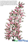 Huge Rose Backdrop freestanding tree trellis shopwildthings Huge Rose Backdrop freestanding tree trellis shopwildthings