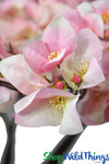 Pink and White Flowers on 10 Foot Tall Tree ShopWildThings Event Florals Pink and White Flowers on 10 Foot Tall Tree ShopWildThings Event Florals