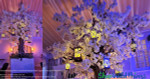 Flowering Tree Branches ShopWildThings Wedding Venue Decor
