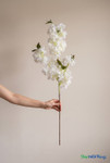 Female hand holding ivory artificial cherry blossom branch for scale against plain wall, ShopWildThings.com wedding flower stem