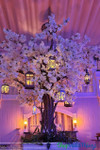 Giant Flowering Tree in Venue, ShopWildThings Floral Branches Giant Flowering Tree in Venue, ShopWildThings Floral Branches