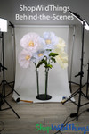 Sheer Poppy Flower Props Giant Flowers by ShopWildThings.com
