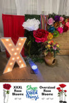 From intimate celebrations to grand events, ShopWildThings.com has a huge range of Giant Oversized Roses and Peonies that add a perfect touch of drama and elegance to any event. Available in various sizes and a wide range of colors, these showstoppers are:

Ideal for photo backdrops
Perfect for event decor
Great for retail displays
Unique photo props