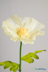 Yellow Giant Poppies, Sheer Florals ShopWildThings Props Event Decor Yellow Giant Poppies, Sheer Florals ShopWildThings Props Event Decor