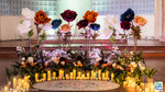 Create magical moments with Jumbo Flowers! This stunning surprise proposal features a mix of Roses, Peonies, and our new sheer Poppies, enhanced with LED lights for a glowing, romantic ambiance.
Shop a huge selection of Jumbo Flowers in a variety of colors and sizes at ShopWildThings.com—perfect for proposals, weddings, and event designs that make a statement. Create magical moments with Jumbo Flowers! This stunning surprise proposal features a mix of Roses, Peonies, and our new sheer Poppies, enhanced with LED lights for a glowing, romantic ambiance.
Shop a huge selection of Jumbo Flowers in a variety of colors and sizes at ShopWildThings.com—perfect for proposals, weddings, and event designs that make a statement.