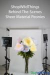 Sheer Giant Peonies by ShopwildThings.com in a tall vase, behind the scenes during photoshoot Sheer Giant Peonies by ShopwildThings.com in a tall vase, behind the scenes during photoshoot