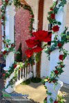 Jumbo Red Roses Entrance Valentine’s Day Decor
Valentine’s Day Party Entrance Decor – Jumbo Red Roses and Red Rose Garlands
ShopWildThings.com has everything you need to create WOW worthy moments like this for Valentine’s Day! Our Jumbo Roses come in 4 sizes, 4 colors, and we also offer stands that support a single Jumbo Rose or a Trio – great for creating unique displays anywhere.
The layers of red through the Rose Garlands and Oversized Red Roses have a way of bringing your eye in and getting your mind excited for what's to come! Jumbo Red Roses Entrance Valentine’s Day Decor
Valentine’s Day Party Entrance Decor – Jumbo Red Roses and Red Rose Garlands
ShopWildThings.com has everything you need to create WOW worthy moments like this for Valentine’s Day! Our Jumbo Roses come in 4 sizes, 4 colors, and we also offer stands that support a single Jumbo Rose or a Trio – great for creating unique displays anywhere.
The layers of red through the Rose Garlands and Oversized Red Roses have a way of bringing your eye in and getting your mind excited for what's to come!