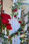 Valentine’s Day Party Entrance Decor – Jumbo Red Roses and Red Rose Garlands
ShopWildThings.com has everything you need to create WOW worthy moments like this for Valentine’s Day! Our Jumbo Roses come in 4 sizes, 4 colors, and we also offer stands that support a single Jumbo Rose or a Trio – great for creating unique displays anywhere.
The layers of red through the Rose Garlands and Oversized Red Roses have a way of bringing your eye in and getting your mind excited for what's to come! Valentine’s Day Party Entrance Decor – Jumbo Red Roses and Red Rose Garlands
ShopWildThings.com has everything you need to create WOW worthy moments like this for Valentine’s Day! Our Jumbo Roses come in 4 sizes, 4 colors, and we also offer stands that support a single Jumbo Rose or a Trio – great for creating unique displays anywhere.
The layers of red through the Rose Garlands and Oversized Red Roses have a way of bringing your eye in and getting your mind excited for what's to come!