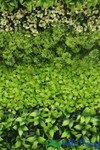 Highly Detailed fancy landscape living walls ShopWildThings.com